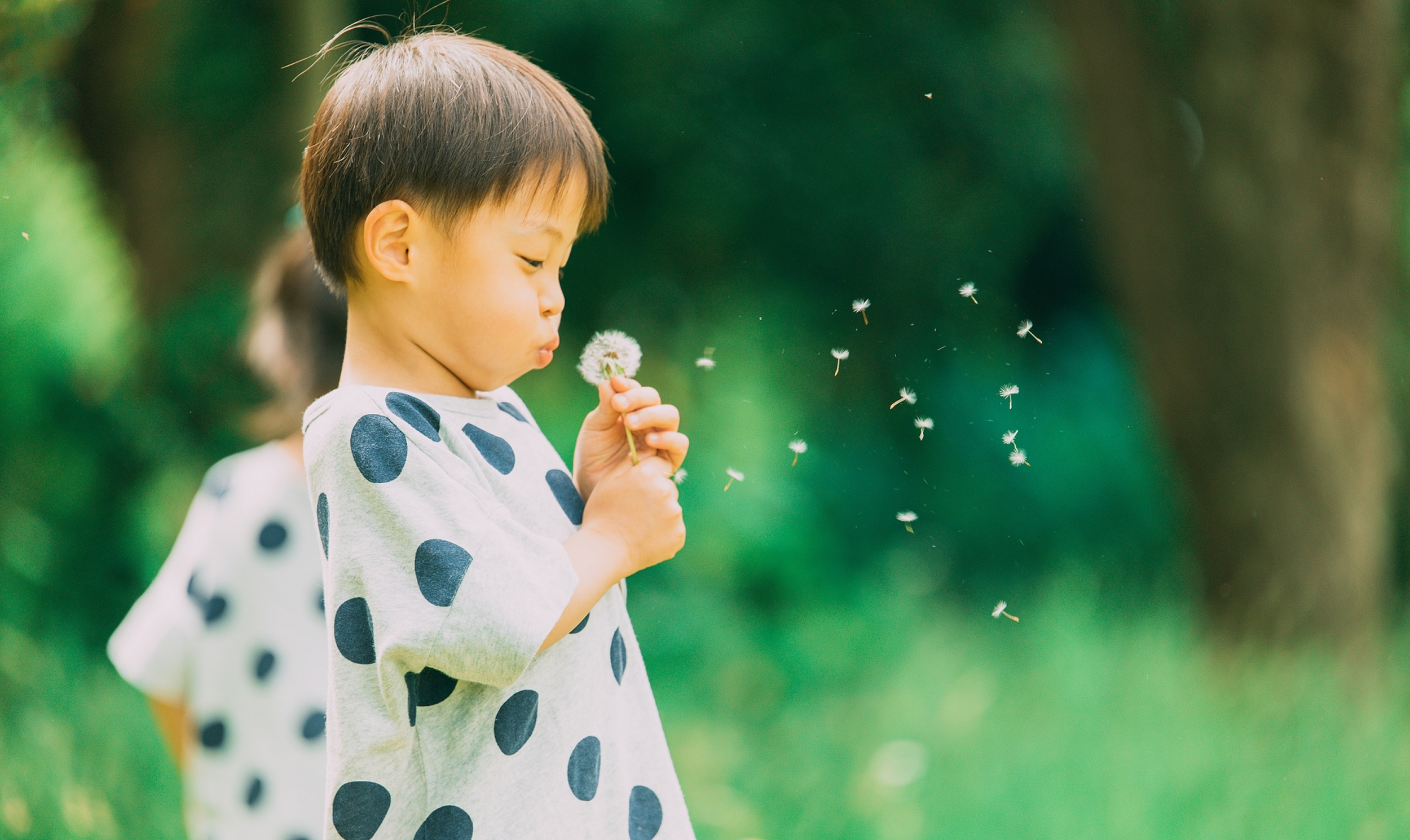 タンポポで遊んでいる子供